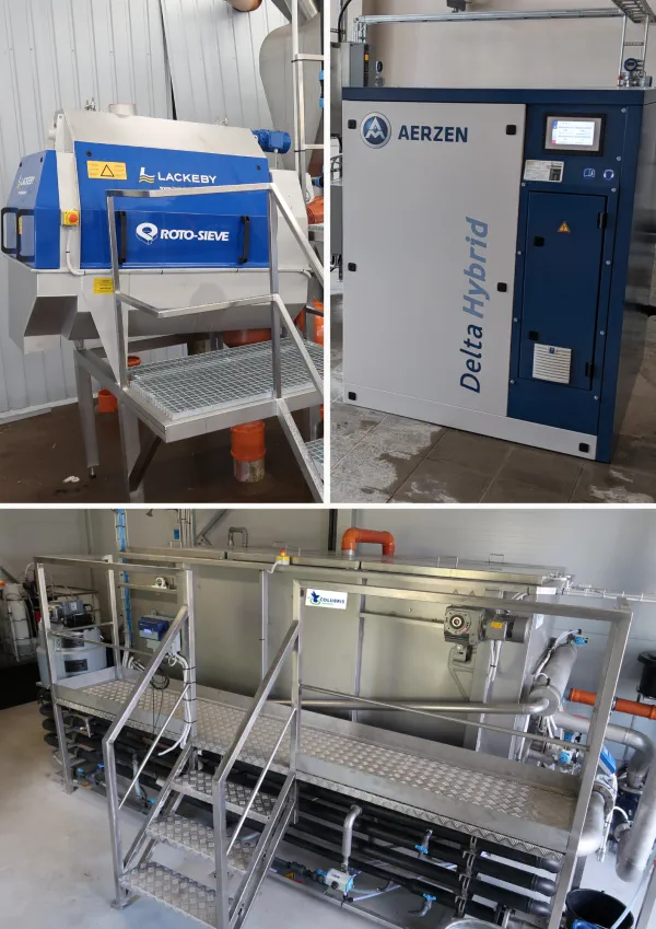 Dewa-3